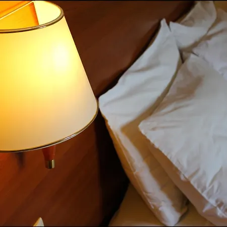 加尔加梅罗酒店